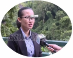 记者调查：森林公园“洞房宰人”现象是否继续存在 - 云南信息港