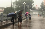 "莎莉嘉"带来哗啦啦的雨 为什么云南总受台风影响 - 云南信息港
