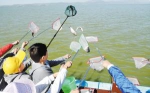 2016昆明滇池增殖放流活动举行 107吨鱼苗将进滇池 - 云南信息港