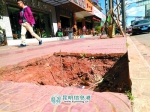 吴井路片区枯死行道树还未换种 市民表示存在安全隐患 - 云南信息港