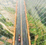 世界第一高桥尼珠河大桥通车 开车在云雾中穿行玩的就是心跳 - 云南信息港