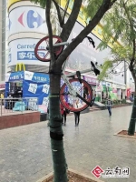 藏起来 挂树上 扔垃圾桶…… 昆明共享单车频频被虐 - 云南信息港