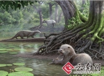 600万年前的云南昭通曾有2米巨型水獭 - 云南信息港