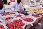 春季水果“鲜”入为主 昆明市场枇杷草莓菠萝成新宠 - 云南信息港