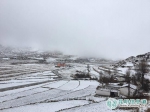 昆明主城阴雨连绵 倘甸和轿子山“两区”雪花纷飞 - 云南信息港