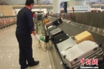 昆明机场检疫犬“秒嗅”违禁物堪称“国门新卫士” - 云南频道