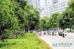 创建国家生态园林城市 昆明主城今年将增绿221公顷 - 云南信息港