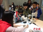 图为云南省博物馆中，学生在显微镜下观察化石。　叶之声 摄 - 云南频道