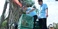 云南266只收容救护野生动物被放归自然 - 云南频道
