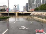 昆明主城区突降暴雨引发城市内涝250余人被困 - 云南频道