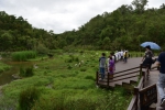 游客在普洱市太阳河国家公园游览。 - 云南频道