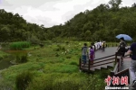 图为普洱市太阳河国家公园 刘冉阳 摄 - 云南频道