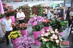 昆明花卉去年出口额达1.7亿美元 远销46个国家和地区 - 云南频道