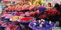 昆明斗南花卉市场情人节前玫瑰价格已翻番 - 云南信息港