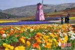 【聚焦云南】海外游客热捧昆明赏花游，“世界花都”离我们越来越近 - 云南频道
