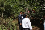 施志胜率队开展古茶树保护条例立法后评估工作调研 - 人民代表大会常务委员会