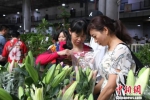 图为在呈贡斗南选购鲜花的市民。　张楠 摄 - 云南频道