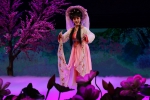 2019年云南省新年戏曲晚会在云南大剧院举行 - 文化厅