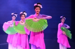 云南省第十一届民族民间歌舞乐展演在大理州开幕 - 文化厅