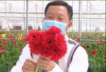 泸西县长化身“主播”线上卖花吸粉60余万，只为…… - 云南频道