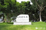 云南永平：铸牢中华民族共同体意识的曲硐样板 - 云南频道