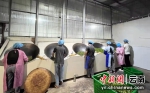 墨江24.6万亩茶园进入采摘期 预计农业产值2.37亿元 - 云南频道