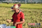 云南双江探索农民专业合作社“五+”模式 助力乡村振兴 - 云南频道