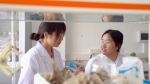 ▲王海丹(右)与同事在实验室探讨包材问题。孟云归 摄 - 云南频道