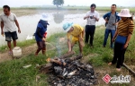 西双版纳乡村旅游成规模 休闲体验游继续火爆 - 云南信息港