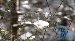 玉龙雪山银装素裹 美景惹人醉 - 新闻频道