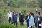 省人大调研组深入临沧调研林业精准扶贫工作 - 人民代表大会常务委员会
