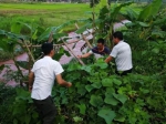 董剑波在田间地头走访调查。 - 云南频道